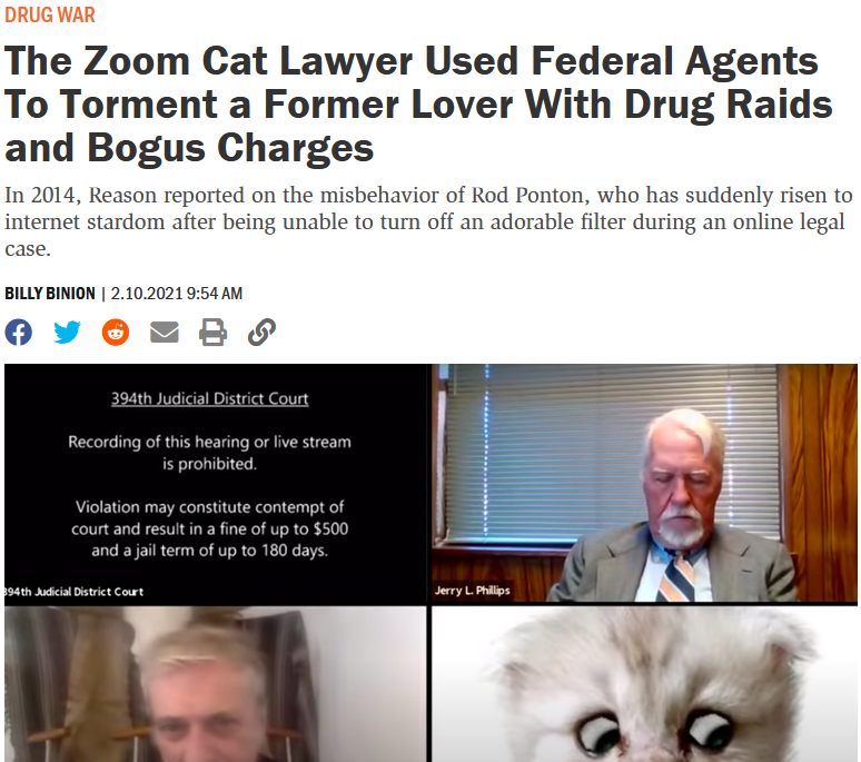 Screenshot of sad news article about cat lawyer's misbehavior